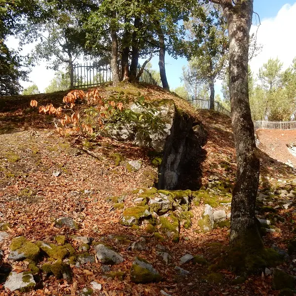 Sentier des meulières_7