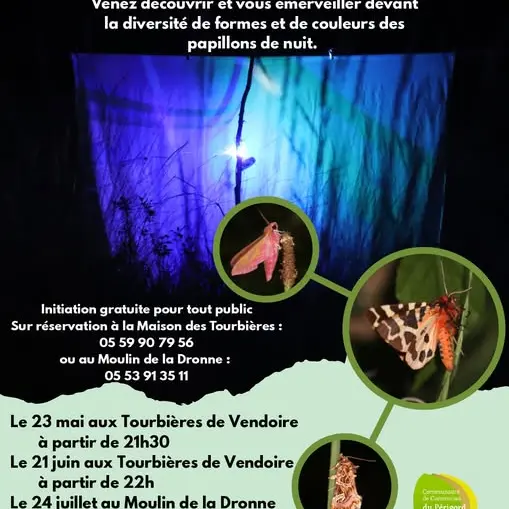 Soirée papillon