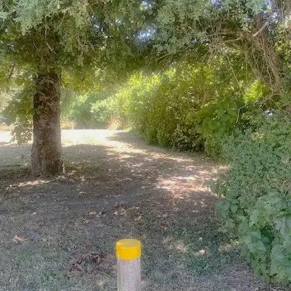 St Crépin d'auberoche-Boucle des tuilières-Chemin