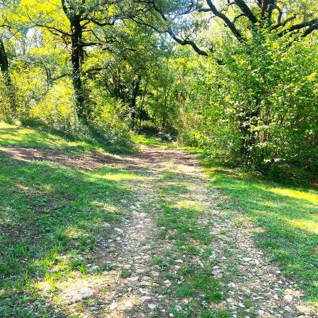 TAMNIES-Boucle du Pech Malat-Chemin 2