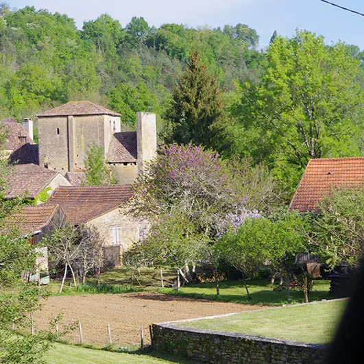 Trémolat (1)