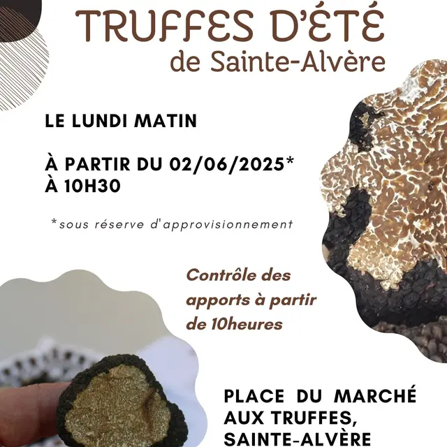 Affiche Marché aux truffes d'été 24 - Truffes d'été 2024 & 25