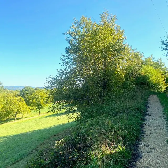 VEYRINES-DE-DOMME-Boucle de Lapeyre-Chemin 2