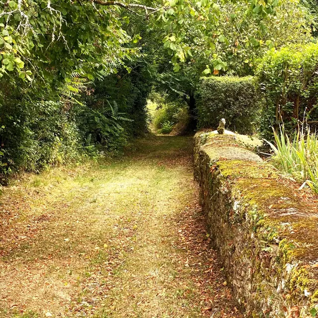 VEYRINES-DE-VERGT-Boucle du 45ème parallèle-Chemin