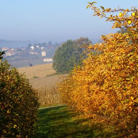 Vergers des Grangiers automne