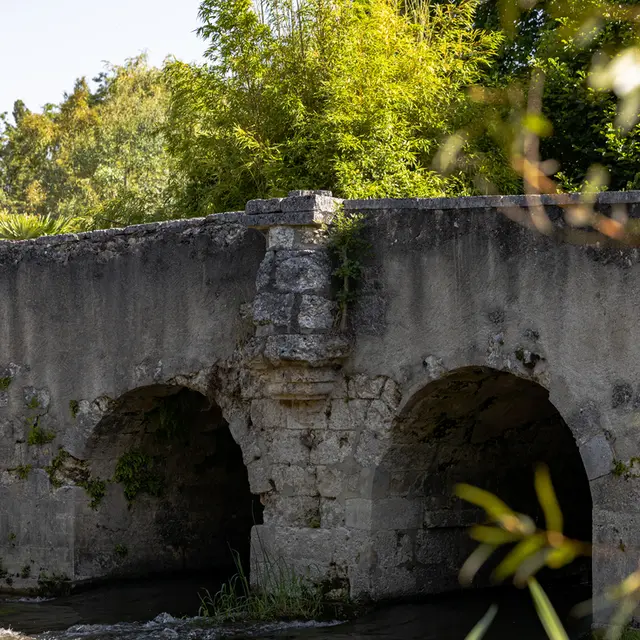Vieux Pont de Saint-Aulaye