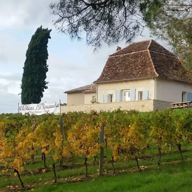 Vieille Périgourdine et vignes