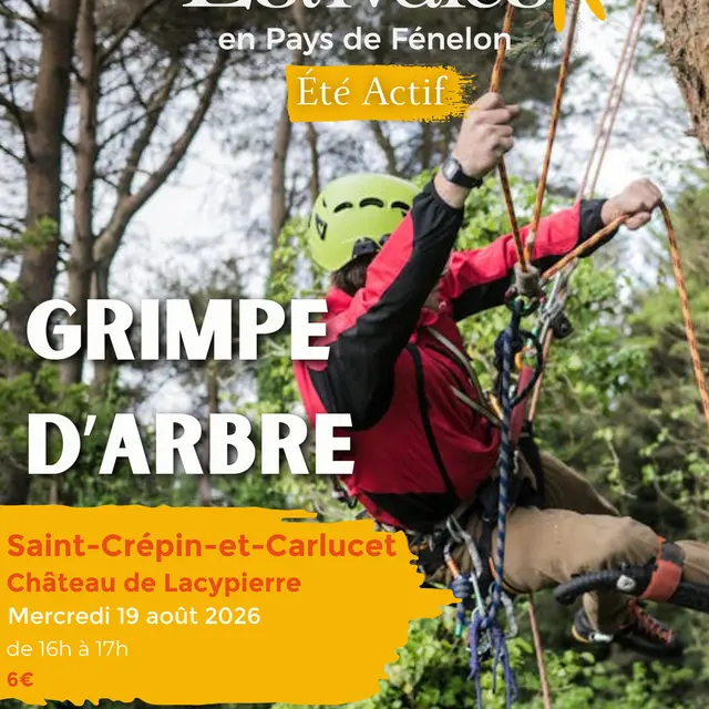 Visuels Estivales 2026 Grimpe d'arbre Saint crépin et carlucet