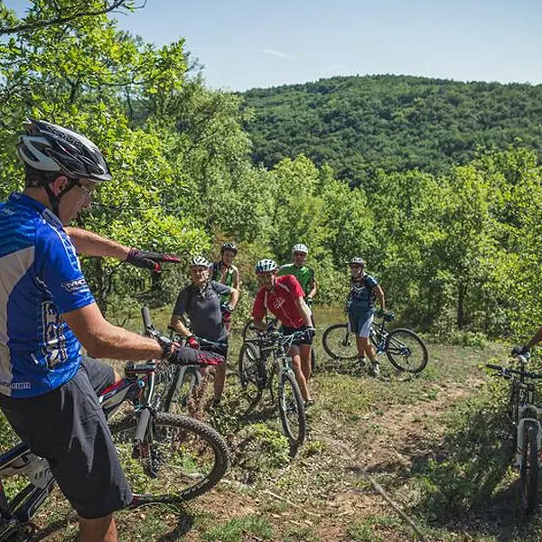 VTT Dordogne Périgord - Marquay