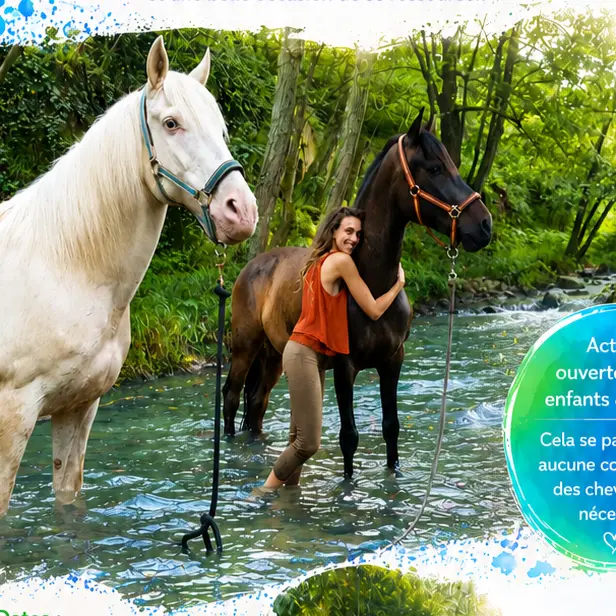Zaltana baignade chevaux