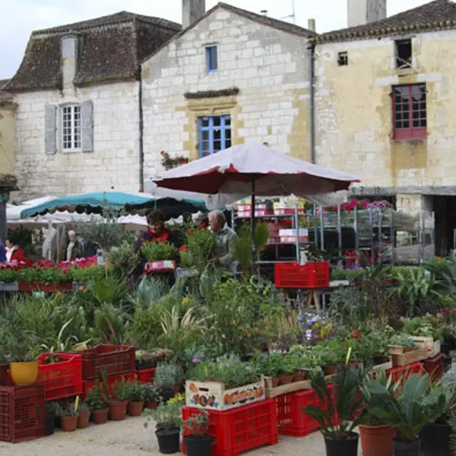 a2-Fete-des-fleurs-2