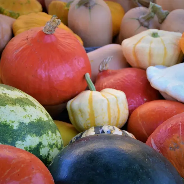 angoisse-marché (8)