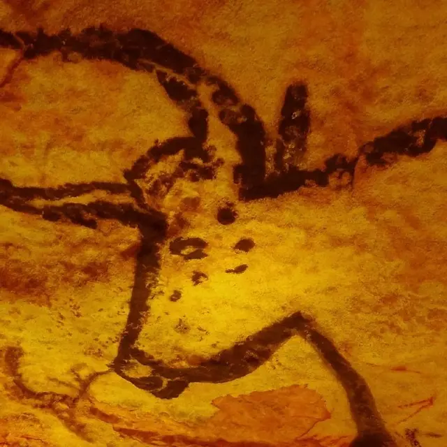 animation préhistoire