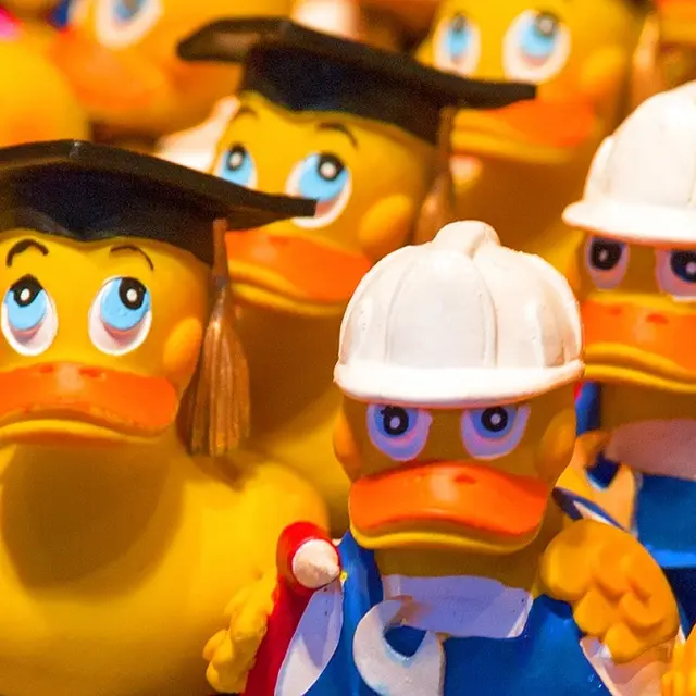 canard