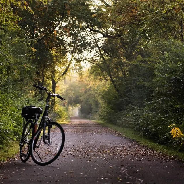 Balade en vélo