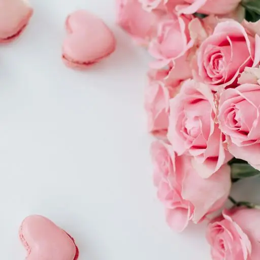 birgith-roosipuu-tepm2Q8OdKQ-unsplash©birgith roosipuu sur unsplash