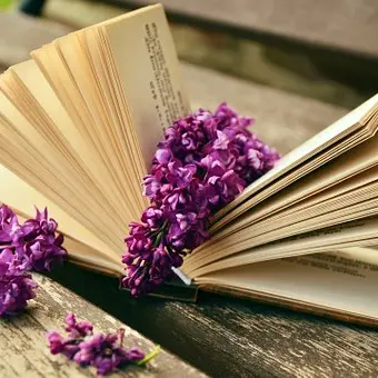 book