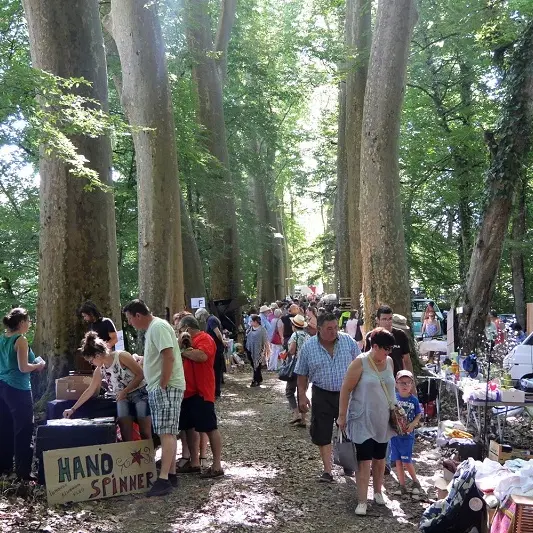 brocante-Mayac-platanes