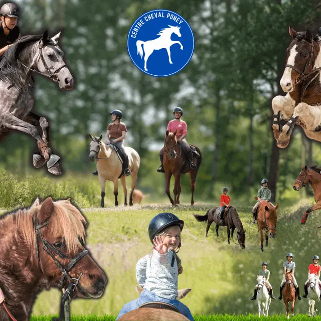 centre-cheval-poney