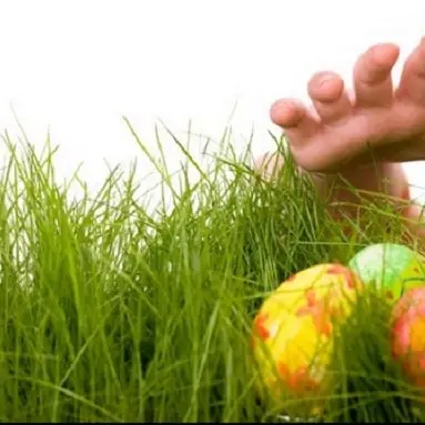 chasse-oeufs-paques-conseils