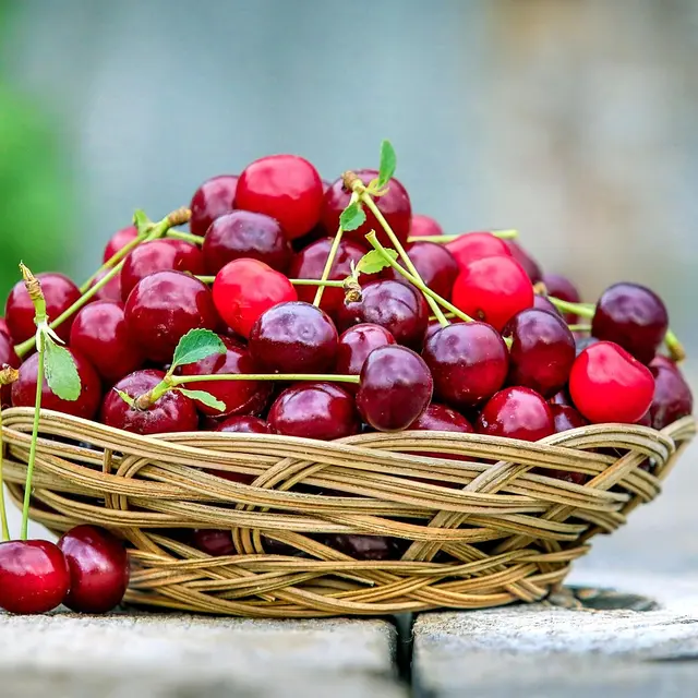 fête de la cerise