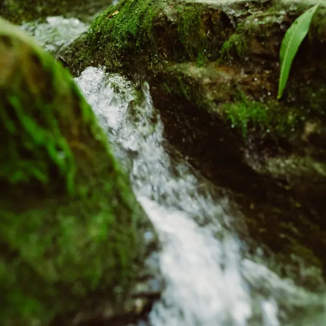 chris-abney-gvb84QdErNs-unsplash
