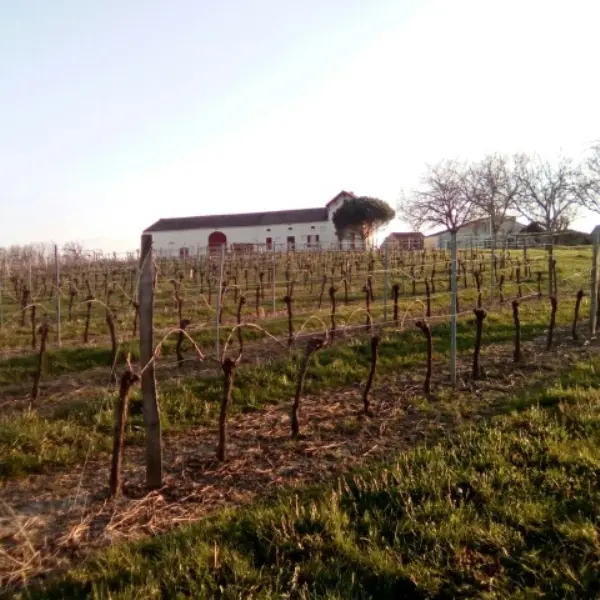closlaborie_domaine