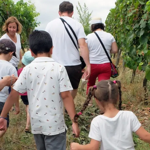 domaine_du_siorac_visite
