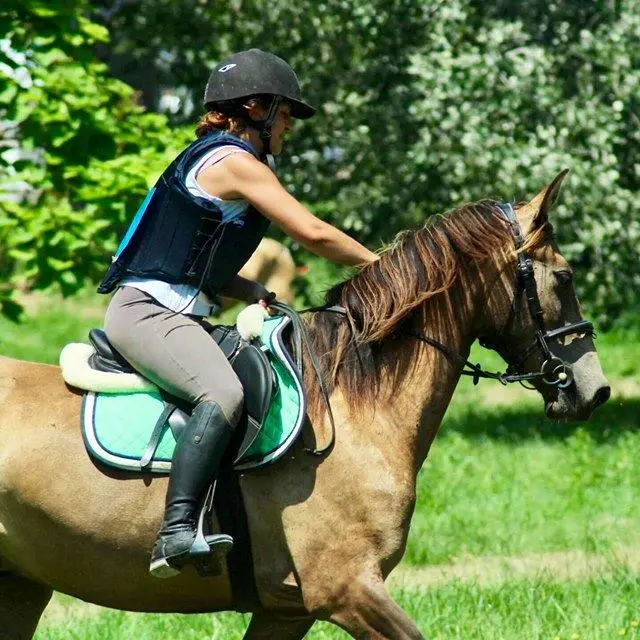 écurie piwelo 2