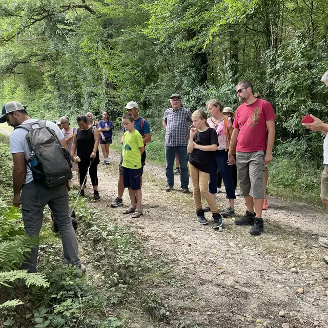 été actif rando saint sauveur