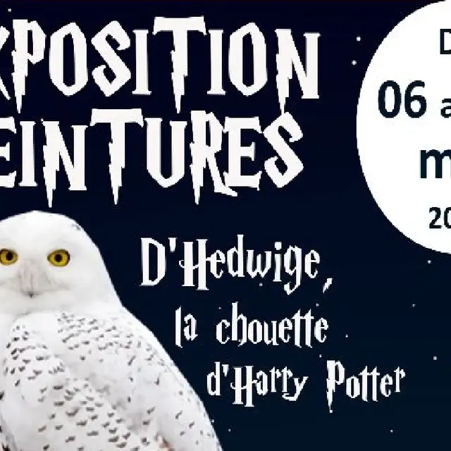 expo chouette harry potter