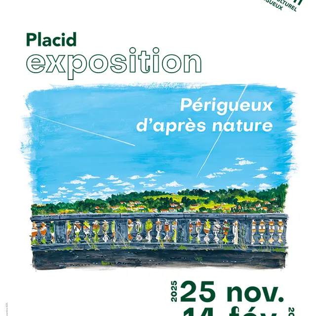 20251124-dcom-expo-PLACID_120x176.indd