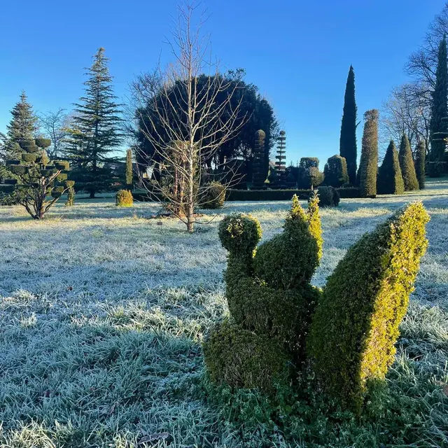 Mon petit écureuil du Jardin