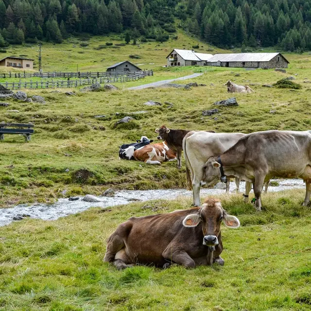 ferme moyenne montagne
