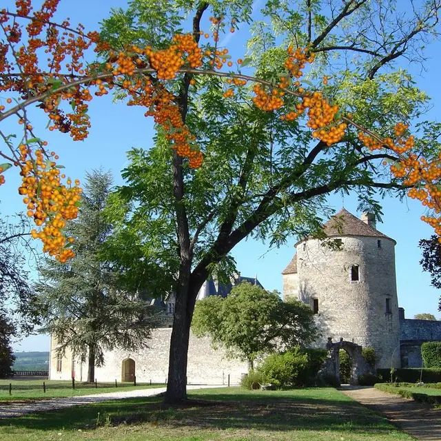 Château de Montaigne