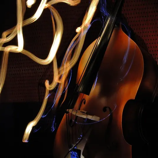 jasper-m-double-bass