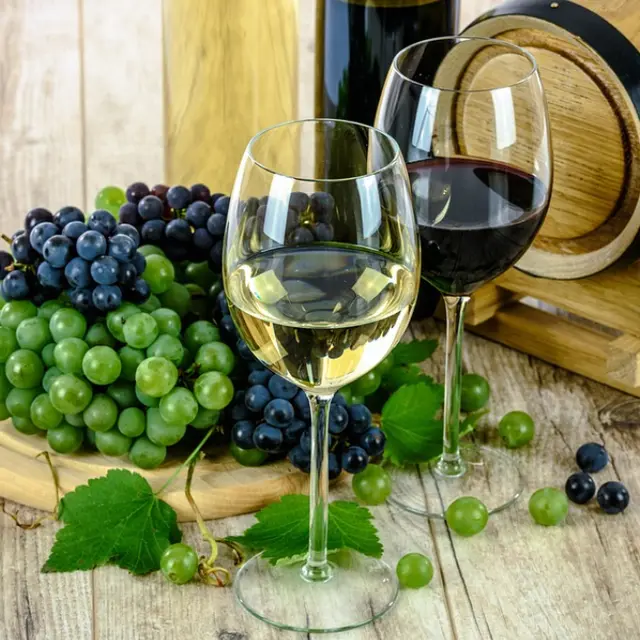 journée_au_vignoble_31_05_25