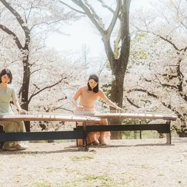 koto-chateau-de-biron