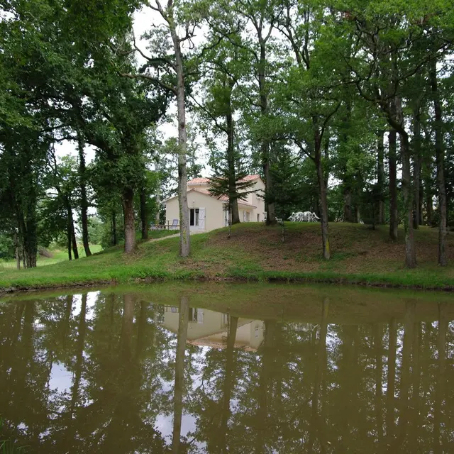 manganèse01