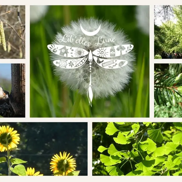 mars-libelleslune-ateliers-gemmothérapie