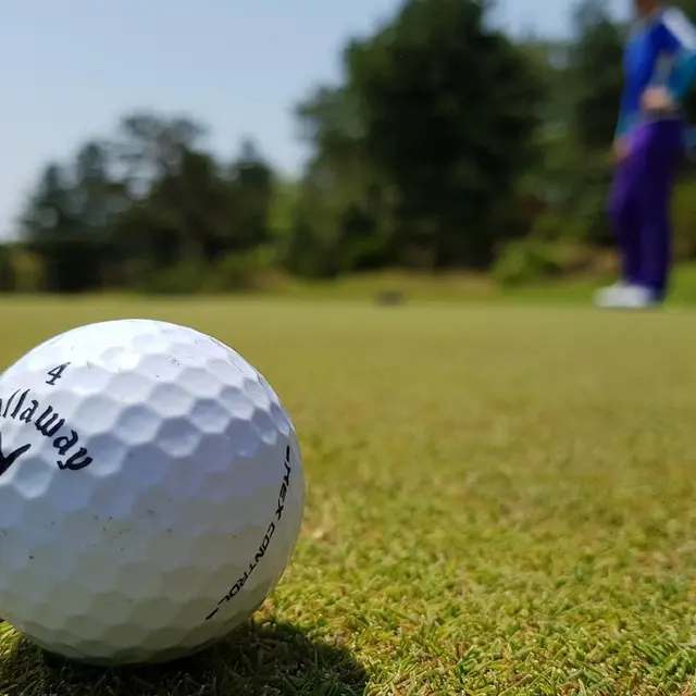 mini golf