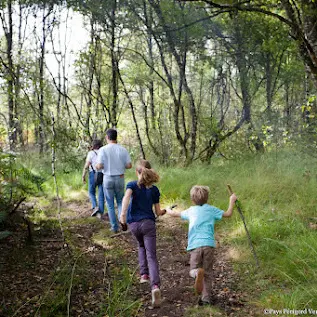 mialet-18 Petite Souris Photographie