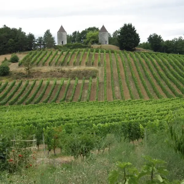 moulins-de-boisse (1)