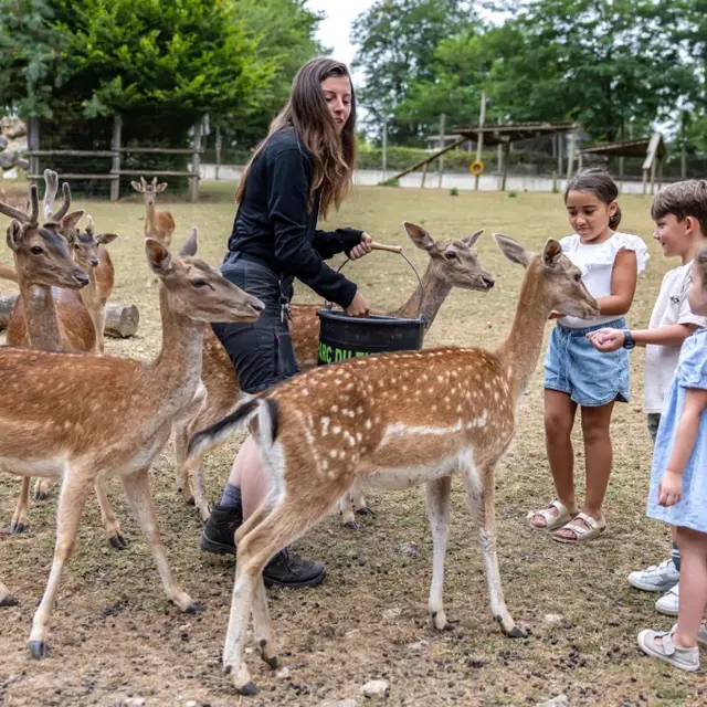 nourrissage-animaux-fs6a8589-shooting-famille-we-like-travel-semitour-juillet-2025declicdecolle-1024x682