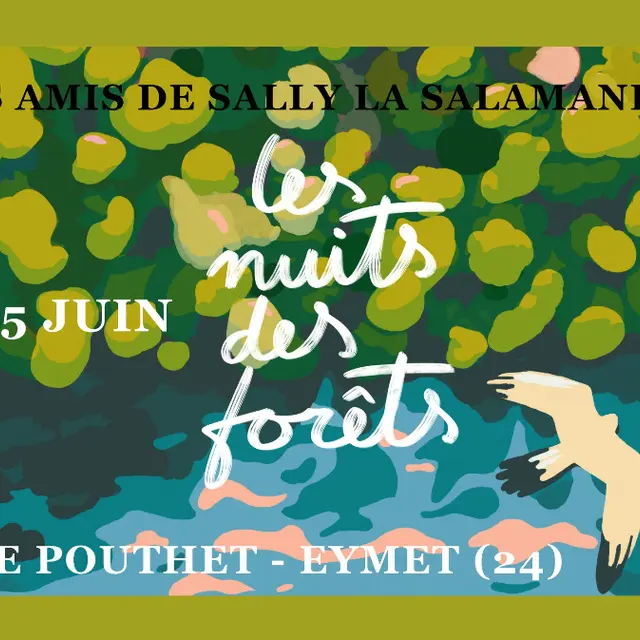 nuitdesforêts_11-15_05_25