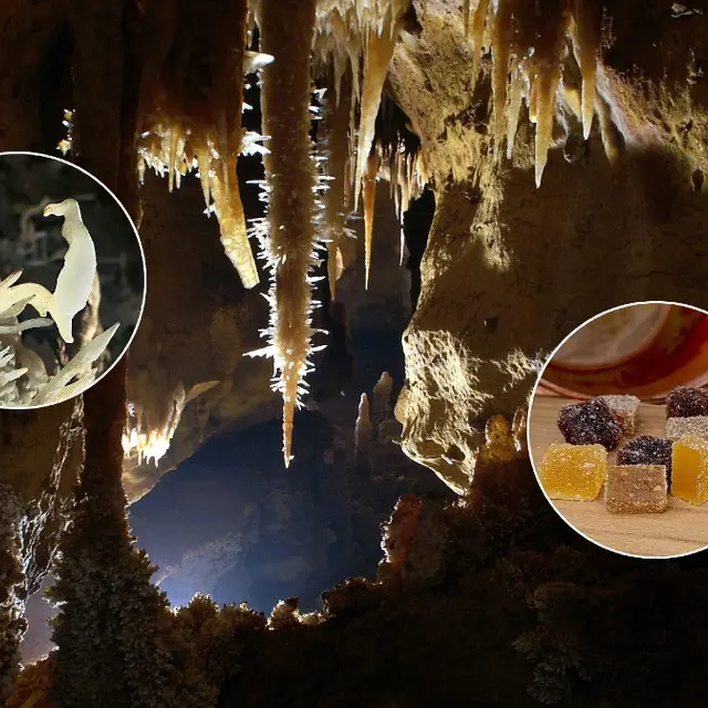 fevrier gourmand Grotte de Maxange