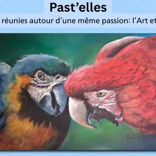 Expositions de Montard - Past'elles