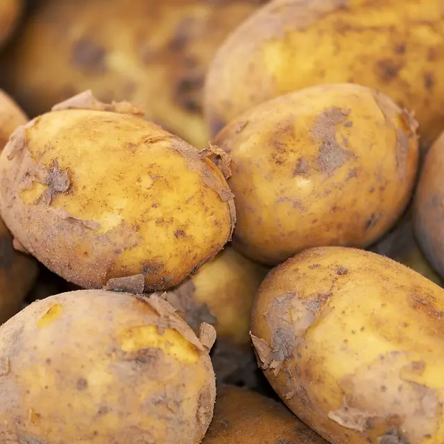 patates