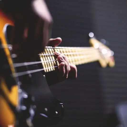 pexels-bass-guitar-1841186©Pexels de Pixabay