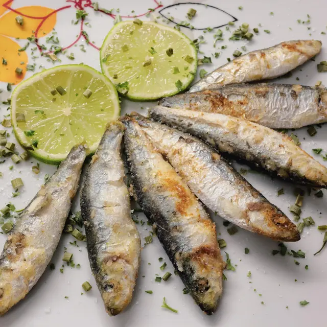 photoenduro-fish-6940144_1920